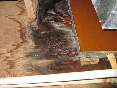 About water damage cleanup - ceiling water damage repair experts in Brighton